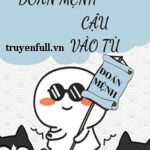 Tôi Đoán Mệnh Cậu Vào Tù