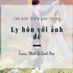 Ly Hôn Với Ảnh Đế