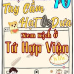 Thập Niên 70 Tay Cầm Hạt Dưa Xem Kịch Ở Tứ Hợp Viện