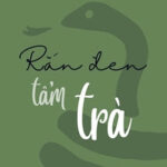 Rắn Đen Tẩm Trà