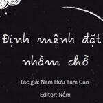 Định Mệnh Đặt Nhầm Chỗ