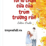 Tôi Lỡ Chặn Cửa Của Trùm Trường Rồi!