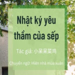 Nhật Ký Yêu Thầm Của Sếp