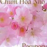 Chùm Hoa Nhỏ