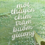 Một Thuyền Chìm, Trăm Buồm Giương