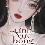 Lĩnh Vực Bóng Tối