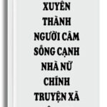 Xuyên Thành Người Câm Sống Cạnh Nhà Nữ Chính Truyện Xã Hội Đen