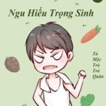 Thập Niên 70 Ngu Hiếu Trọng Sinh