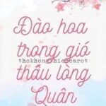 Đào Hoa Trong Gió Thấu Lòng Quân