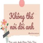 Không Thể Nói Dối Anh