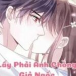 Lấy Phải Anh Chồng Giả Ngốc