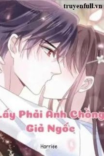 Lấy Phải Anh Chồng Giả Ngốc