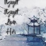 Nguyệt Nguyệt Luân Hồi