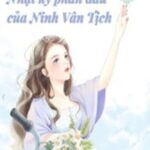 Thập Niên 80 Nhật Kí Phấn Đấu Của Ninh Vân Tịch