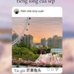 Tôi Nghe Thấy Tiếng Lòng Của Sếp