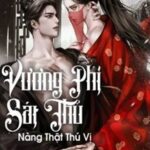 Vương Phi Sát Thủ Nàng Thật Thú Vị