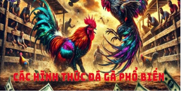 Đá Gà 3in1bet: Trải Nghiệm Đỉnh Cao Cho Cược Thủ Năm 2025