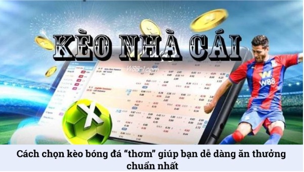 Cách chọn kèo bóng đá “thơm” giúp bạn dễ dàng ăn thưởng